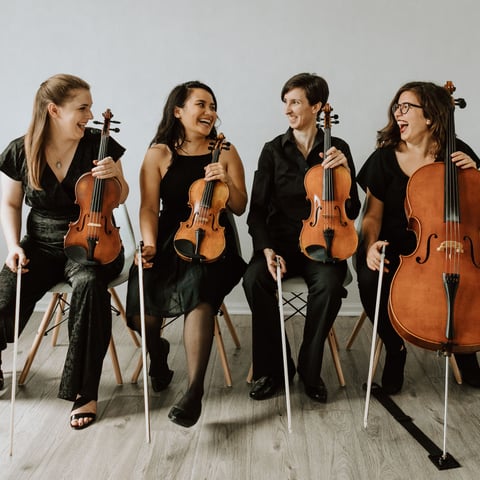 Hire Boom Island String Quartet - String Quartet in Minneapolis, MN ...