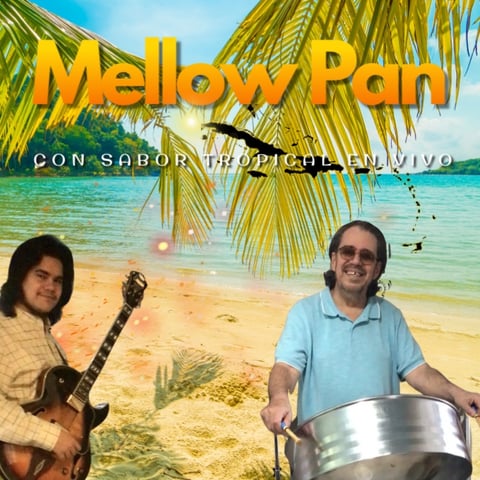Hire Mellow Pan Band - Steel Drum Band in Hidalgo, TX | GigSalad