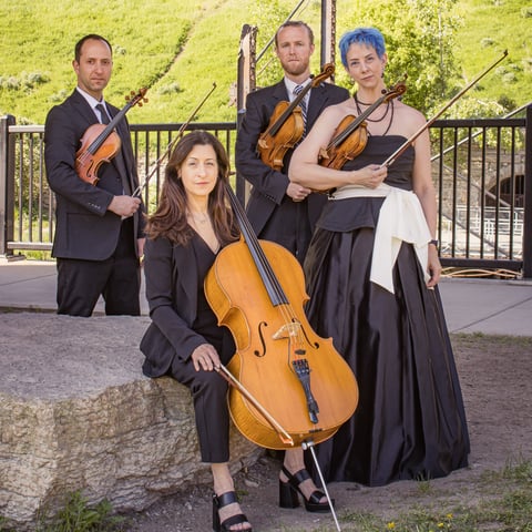 Hire Sonorous Strings - String Quartet in Minneapolis, MN | GigSalad