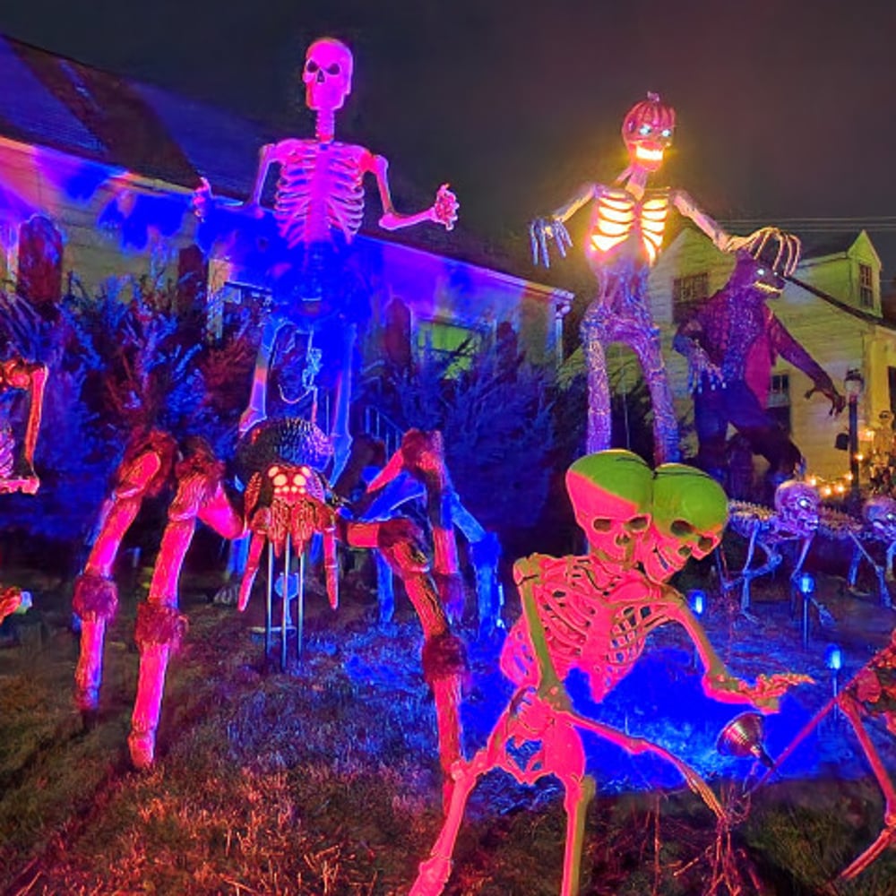 Profile thumbnail image for 12 Foot Skeleton and Monster Rental