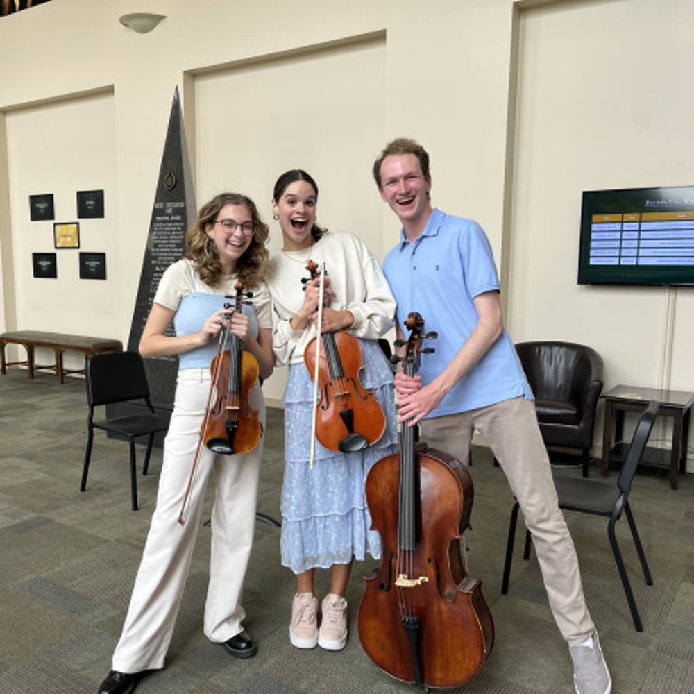 Profile thumbnail image for 13th Chair String Quartet/Trio