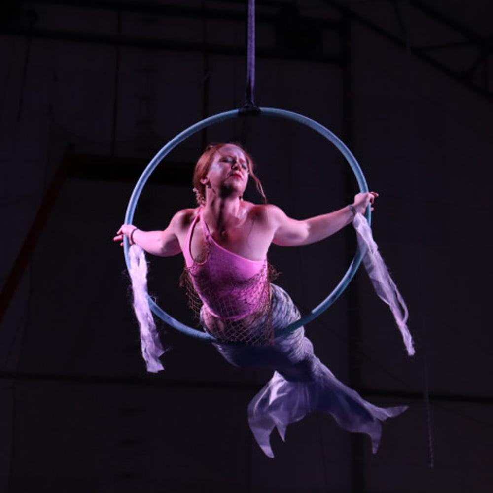 Profile thumbnail image for Aerialist Mermaid