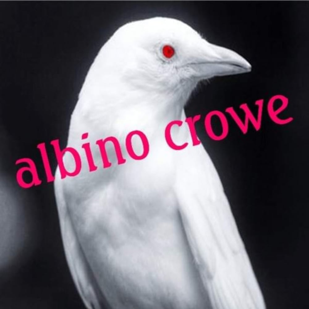 Profile thumbnail image for Albino Crowe
