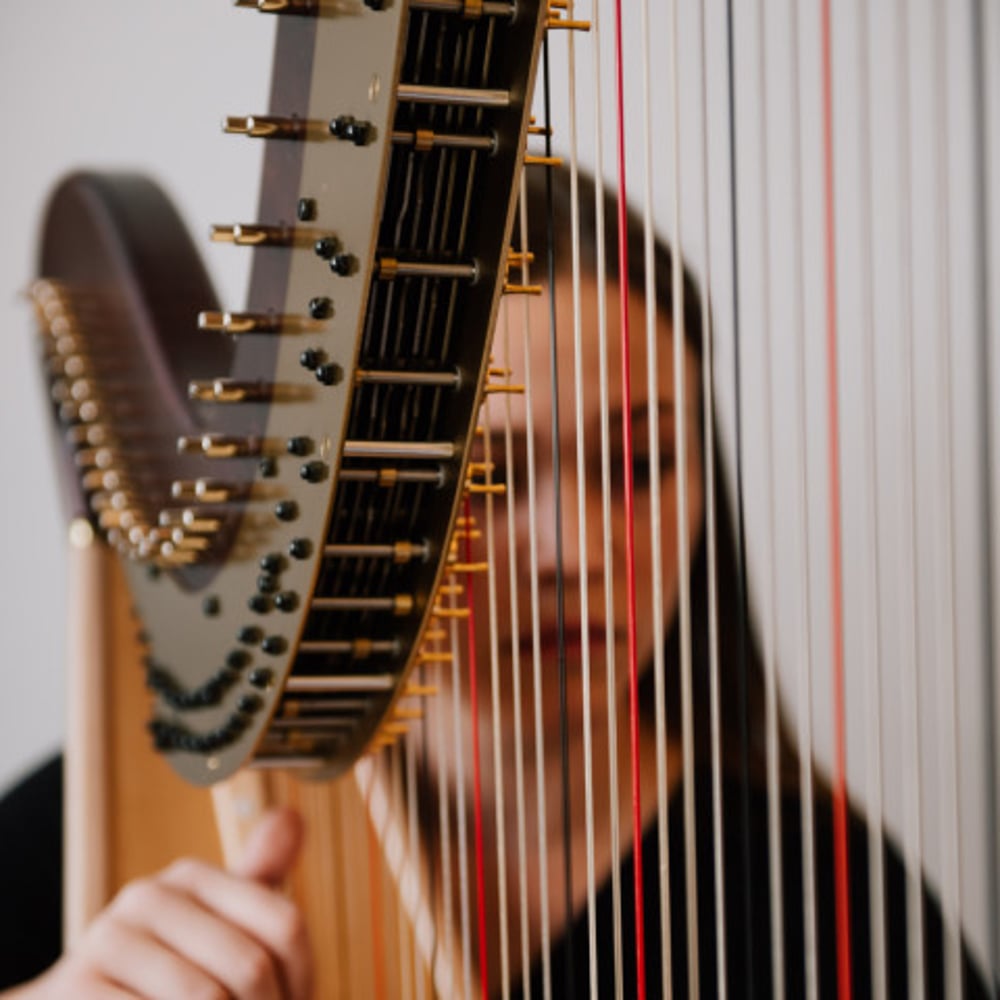 Profile thumbnail image for Alyssa Holman Harpist