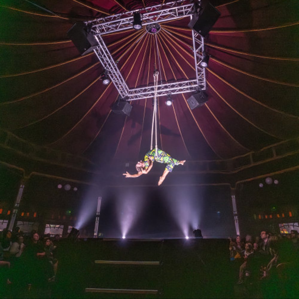 Profile thumbnail image for Ash Circus