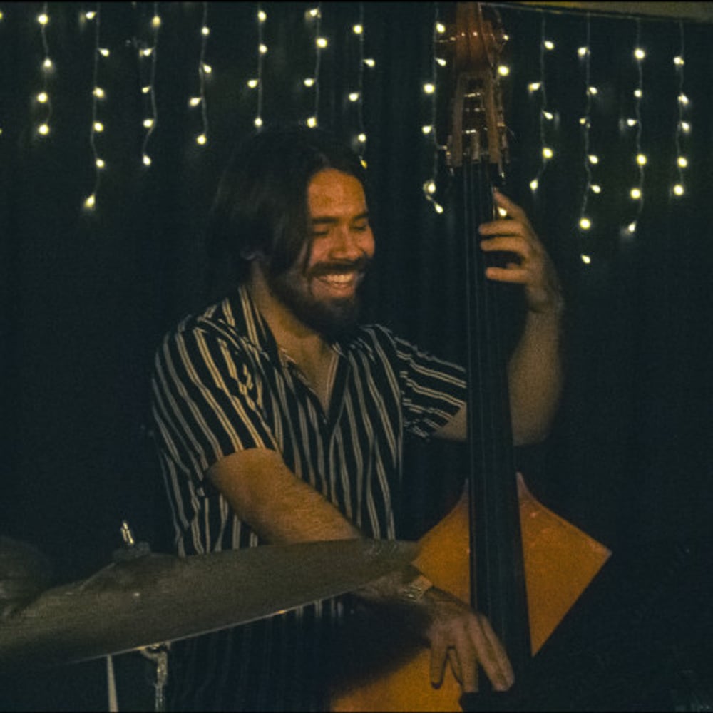 Profile thumbnail image for Bass Services/Low End Dealer