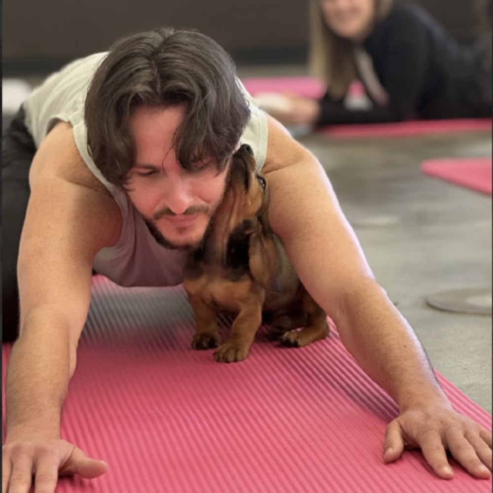 Profile thumbnail image for Being With Jake Yoga