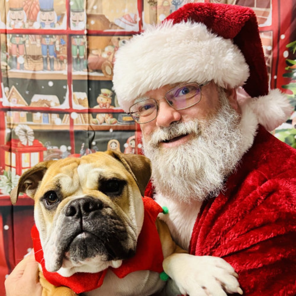 Profile thumbnail image for Book the Real Santa Everyone Loves