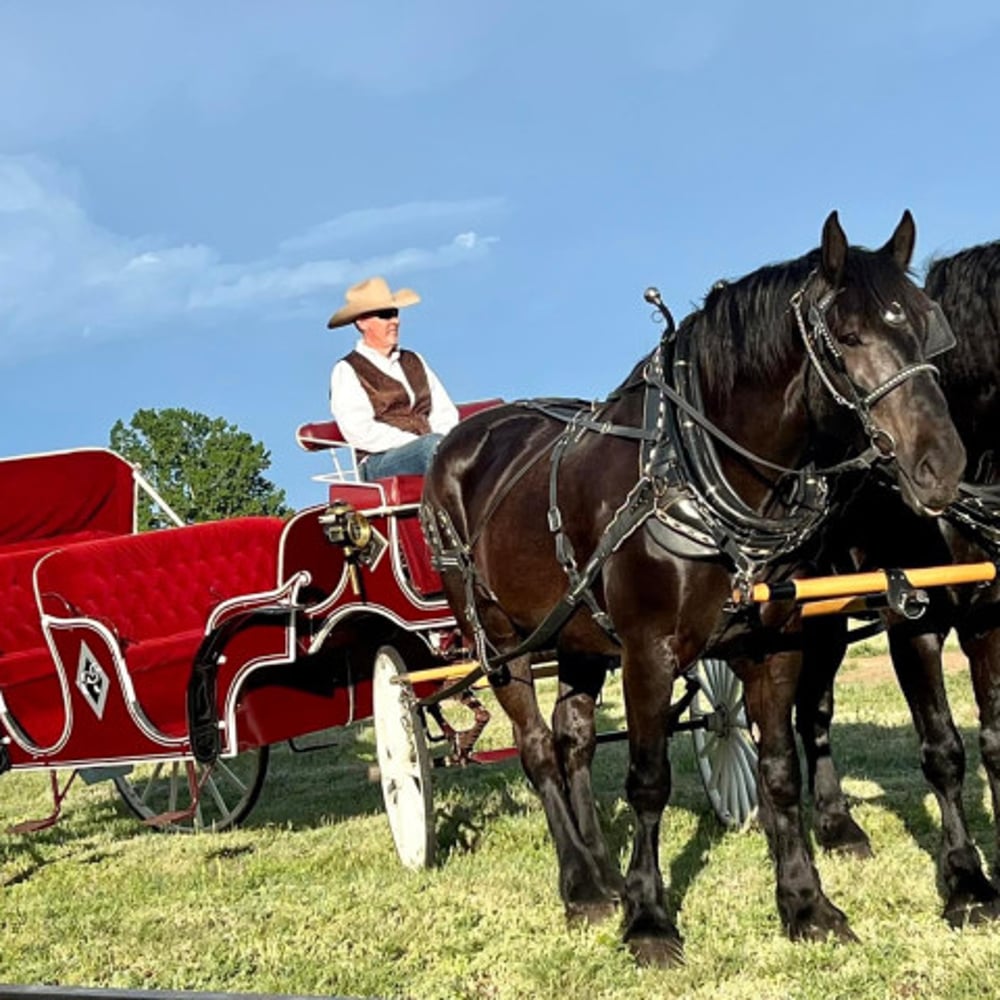 Profile thumbnail image for Box Elder Horse & Carriage