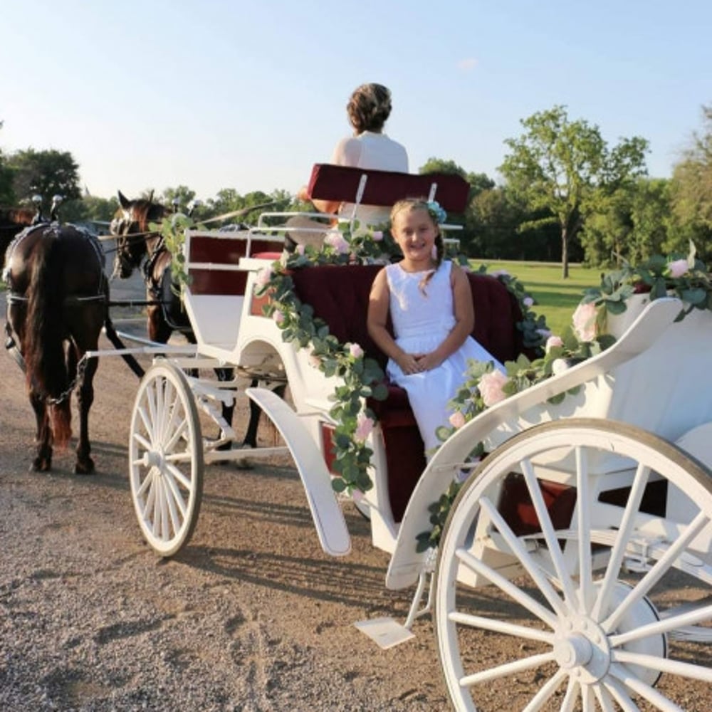 Profile thumbnail image for Cavalier Carriage