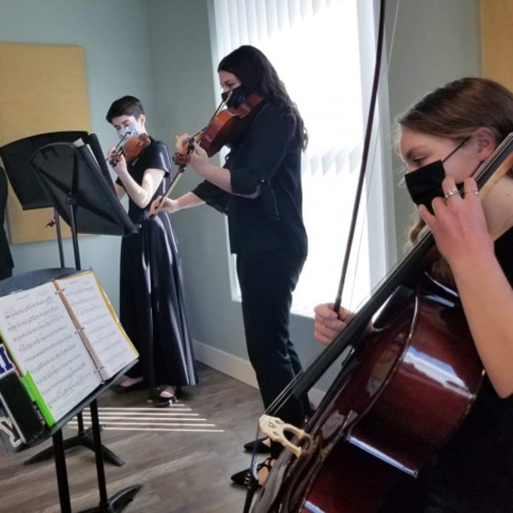 Profile thumbnail image for Chamber Players