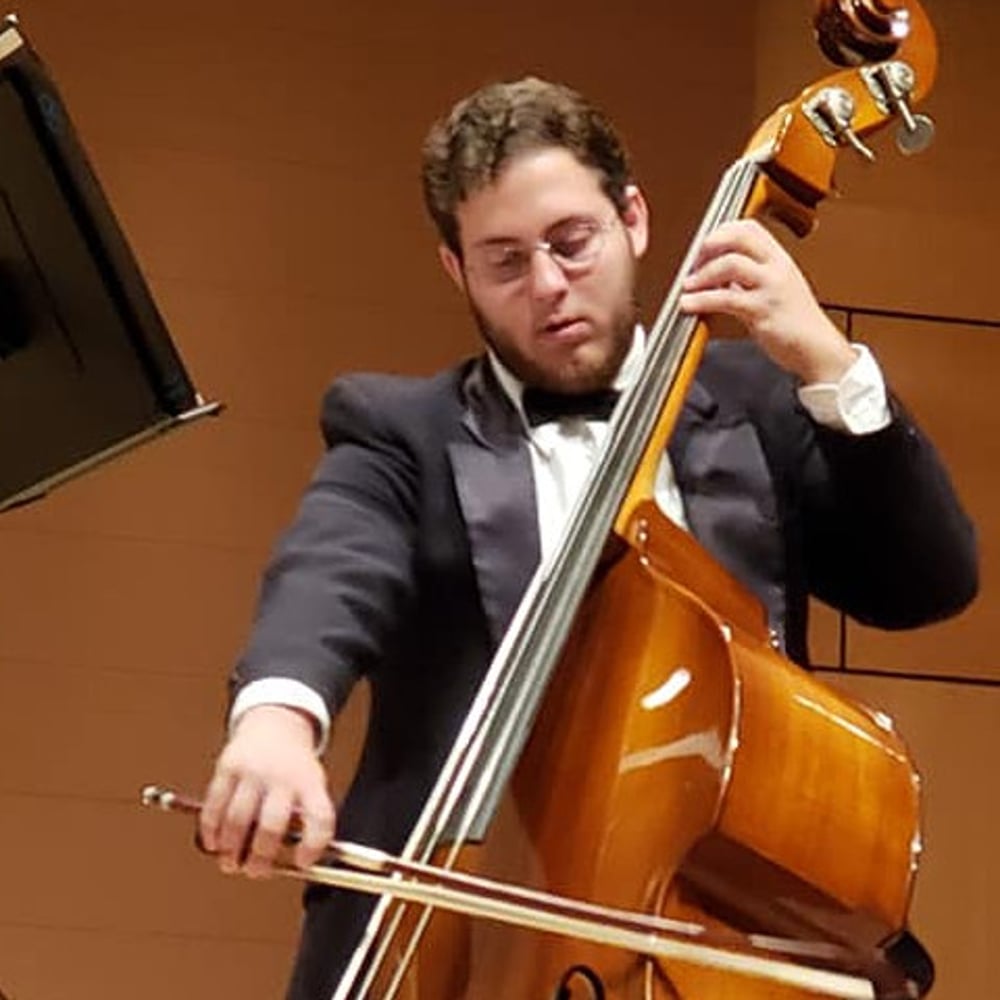 Profile thumbnail image for Classical/Jazz Bassist(Upright/Electric)