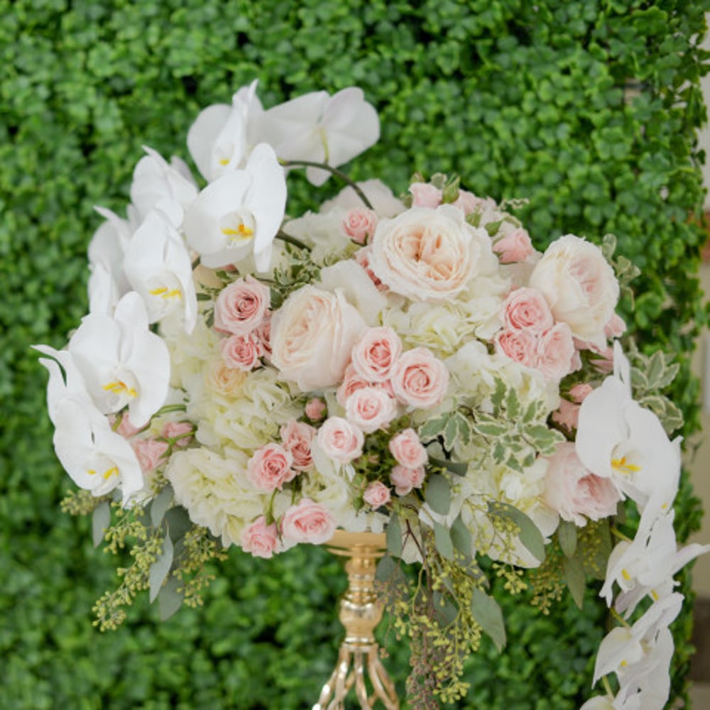 Profile thumbnail image for Cristiana Pecheanu Photography