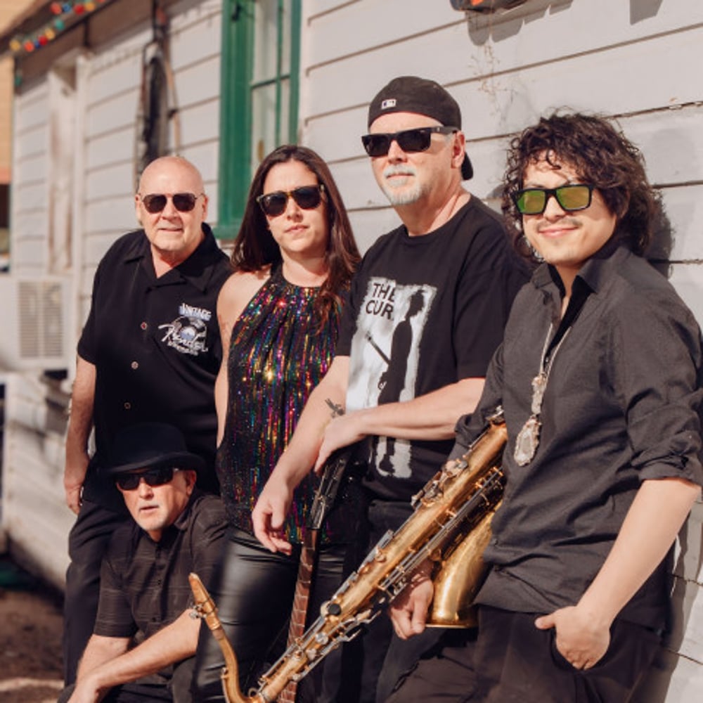 Profile thumbnail image for Dina Baker and The King Stan Band