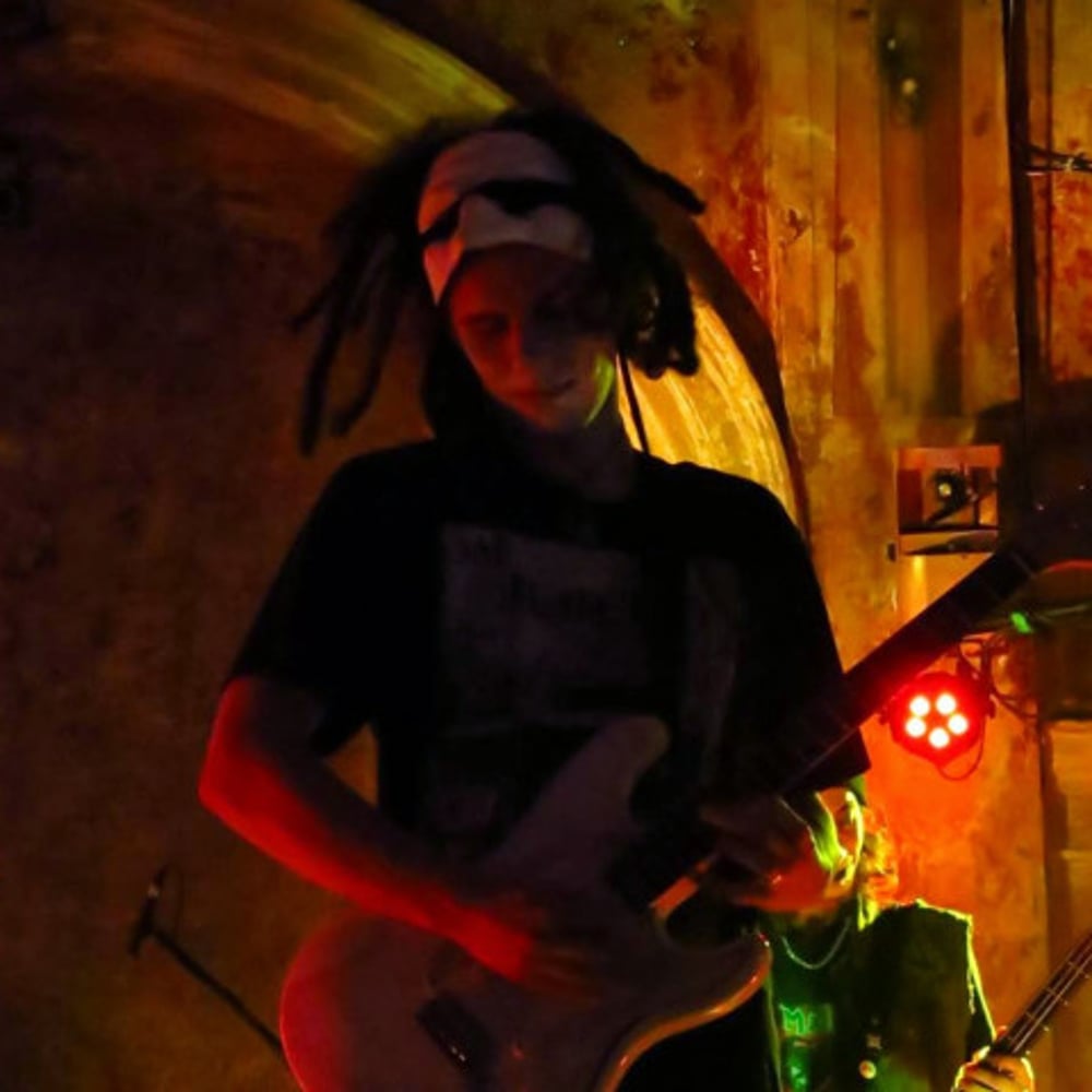 Profile thumbnail image for Dominik Vladulovic