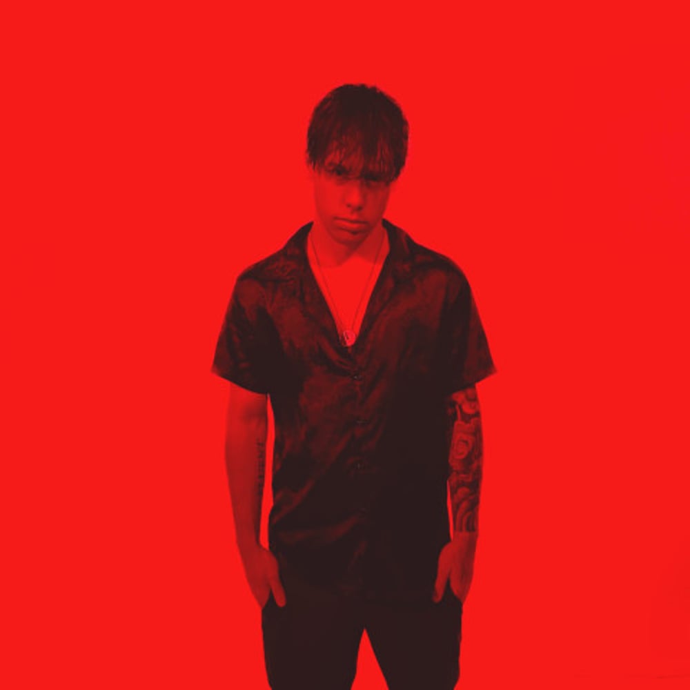 Profile thumbnail image for Dozen