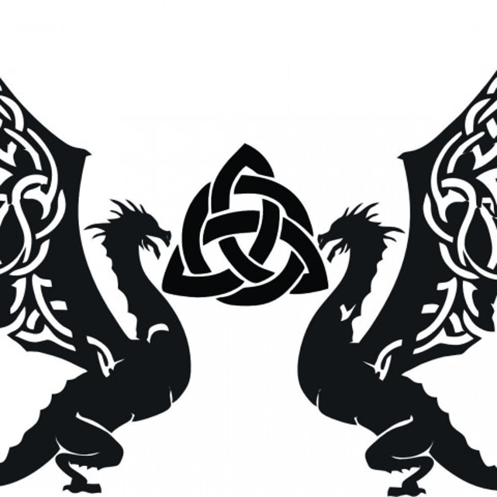 Profile thumbnail image for Dragon Knight Photography