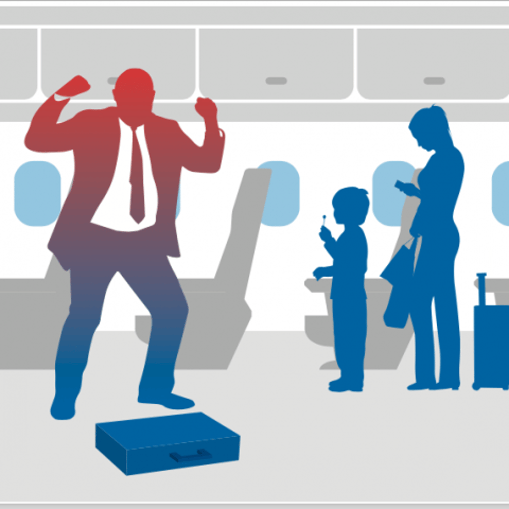 Profile thumbnail image for Educated Airline Passenger Program