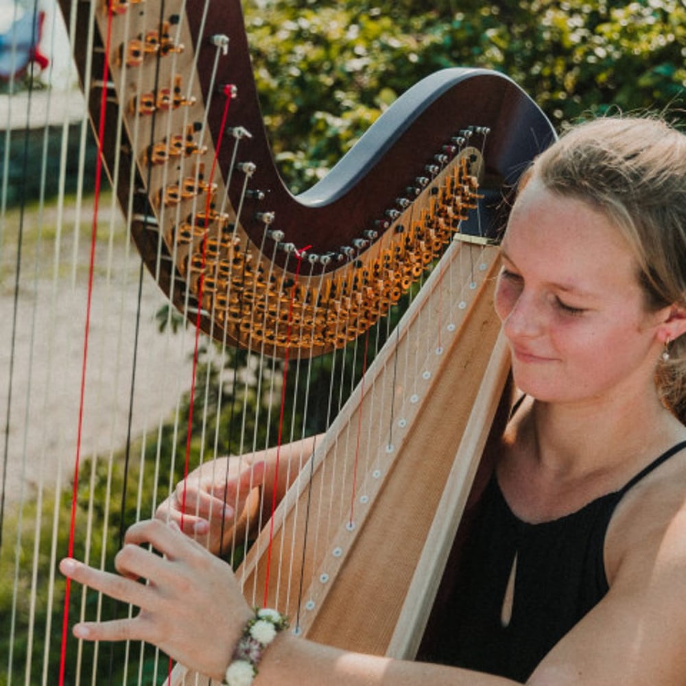 Profile thumbnail image for Elegant Music by Anna