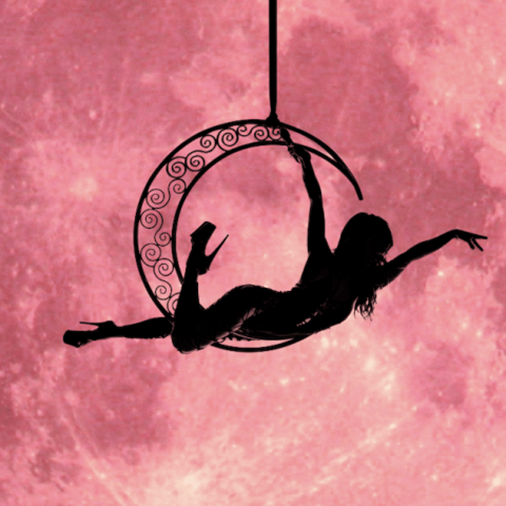 Profile thumbnail image for Ellavate aerial performance group