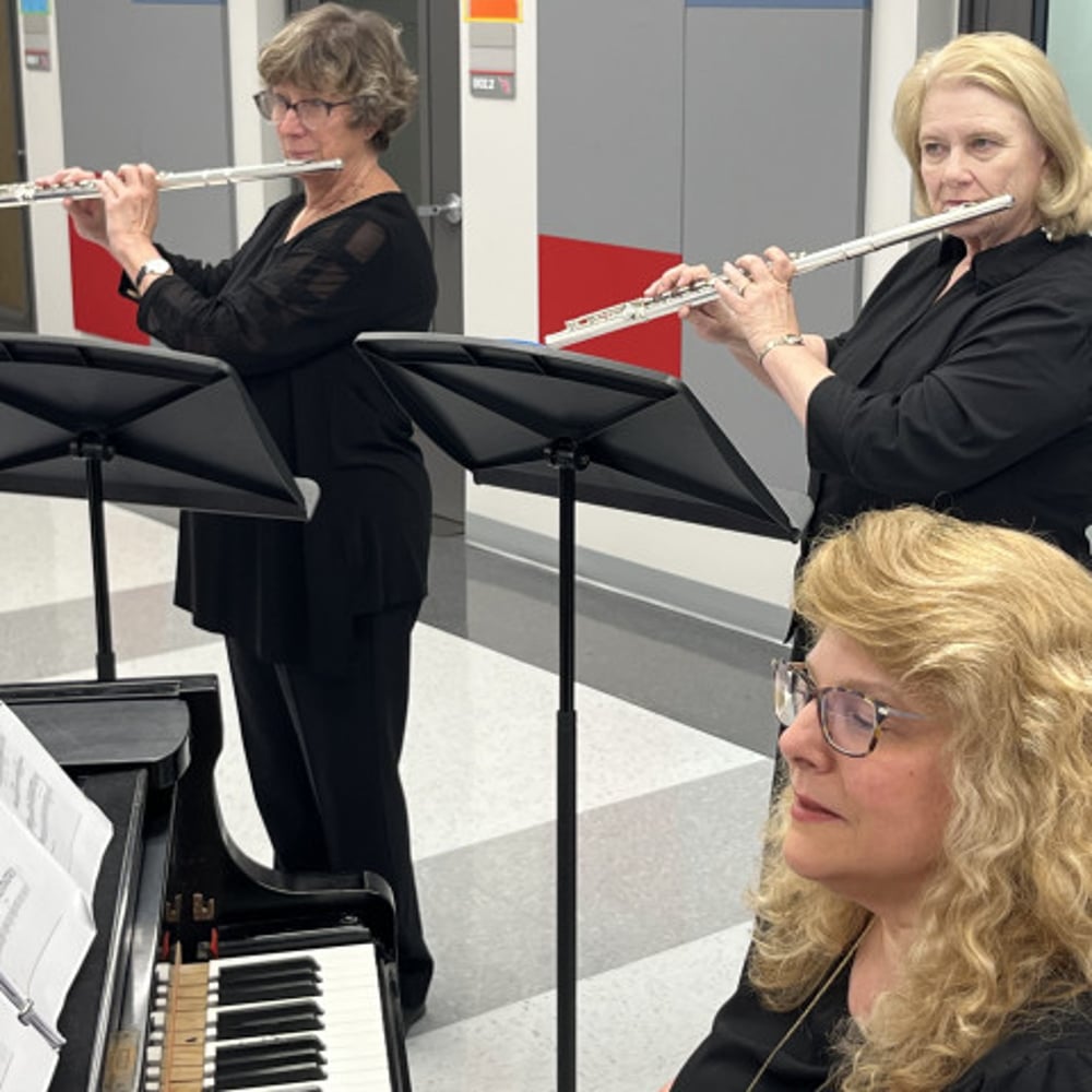 Profile thumbnail image for Flute Suite