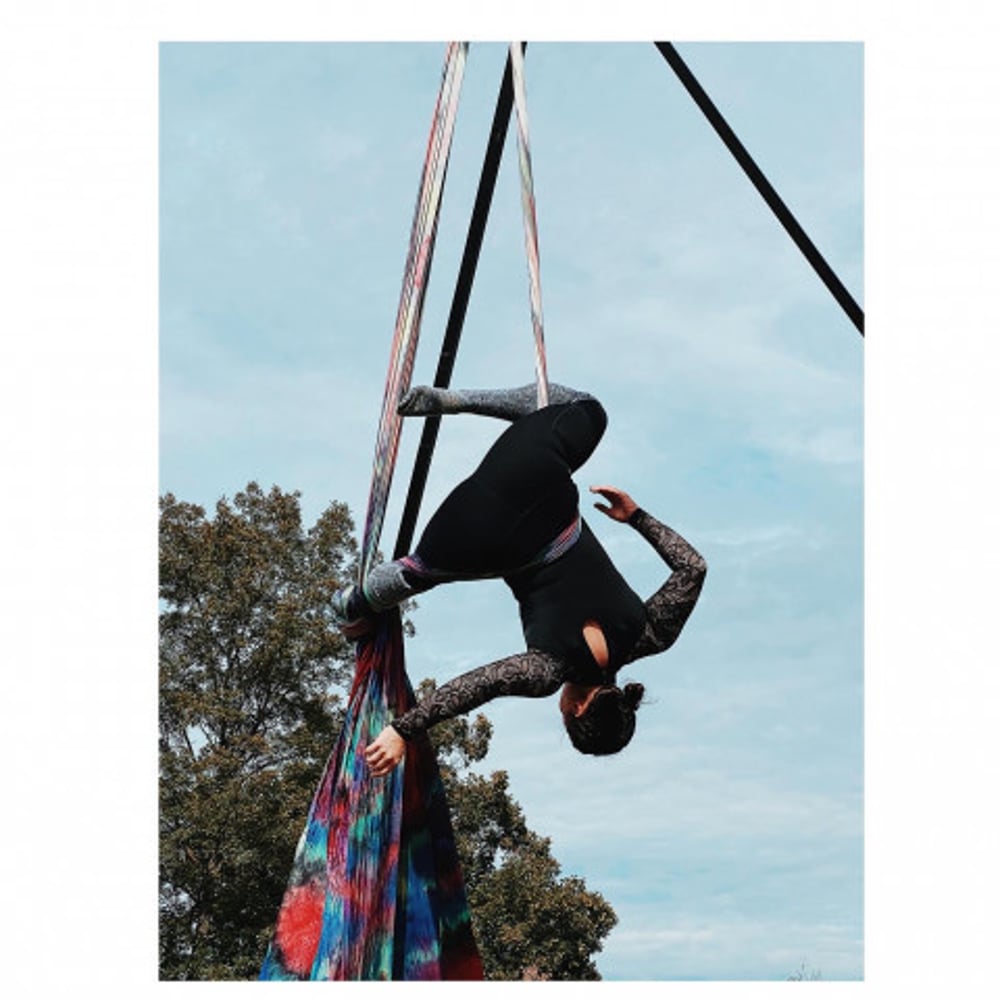 Profile thumbnail image for Flying Dragons