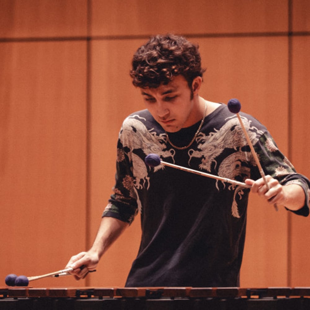 Profile thumbnail image for Llanusa Percussion