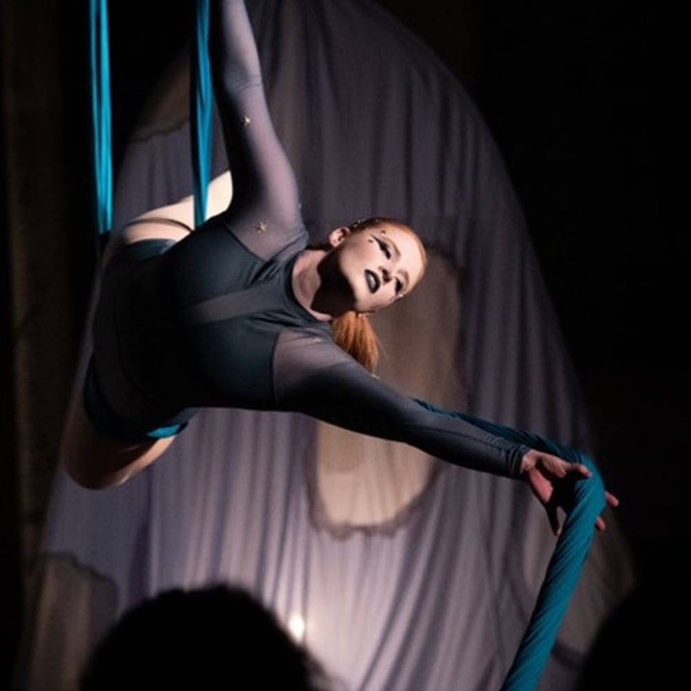 Profile thumbnail image for Hamilton Aerial Group