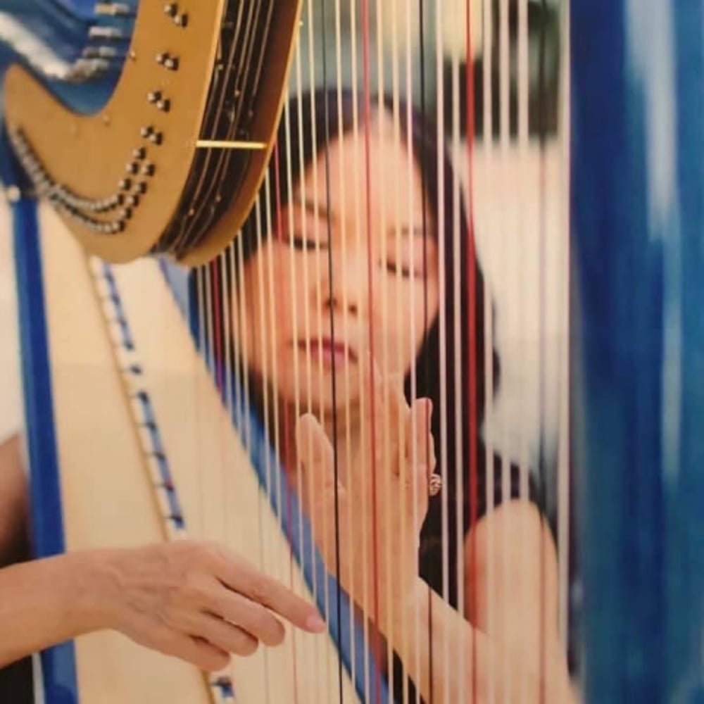 Profile thumbnail image for Harp Music By Vonettte