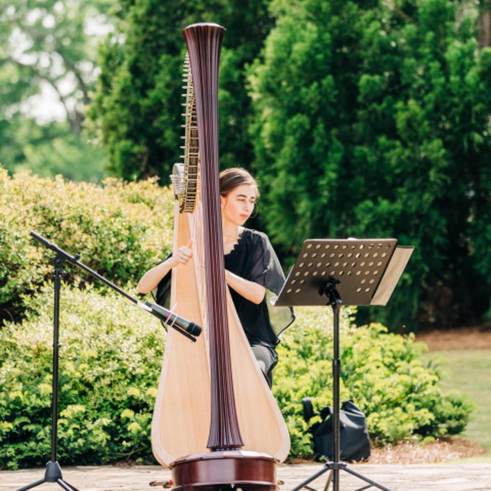 Profile thumbnail image for Harp Performance