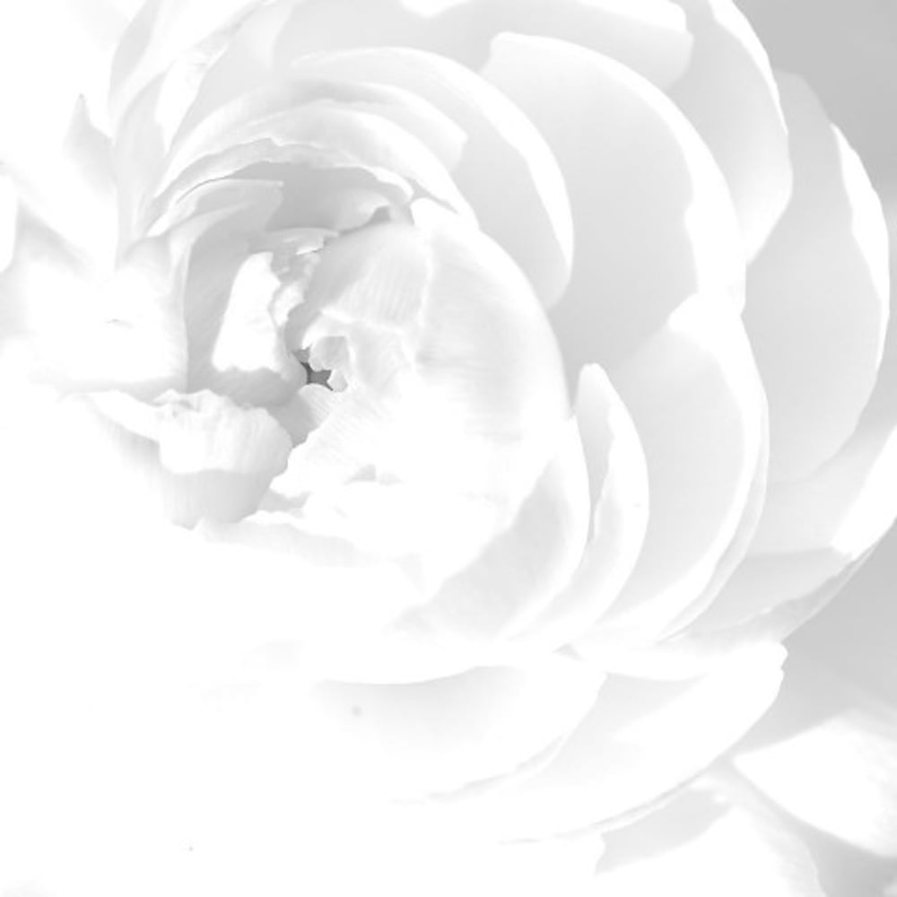 Profile thumbnail image for Hisword