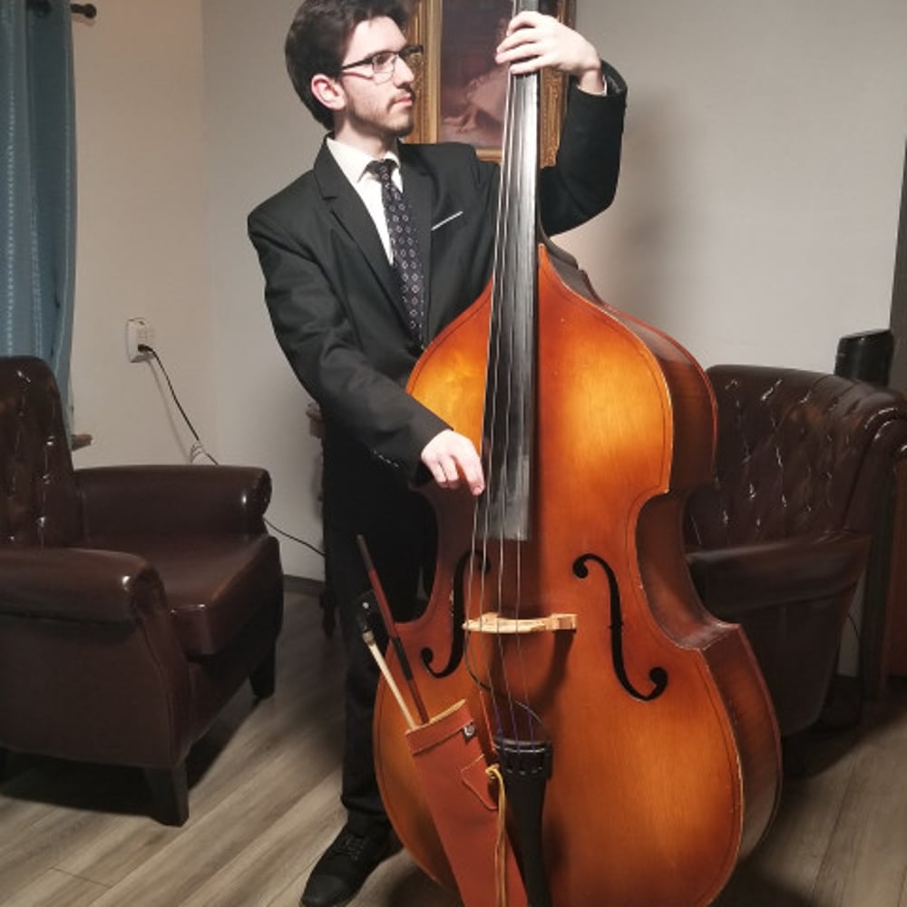 Profile thumbnail image for Jazz Upright Bassist