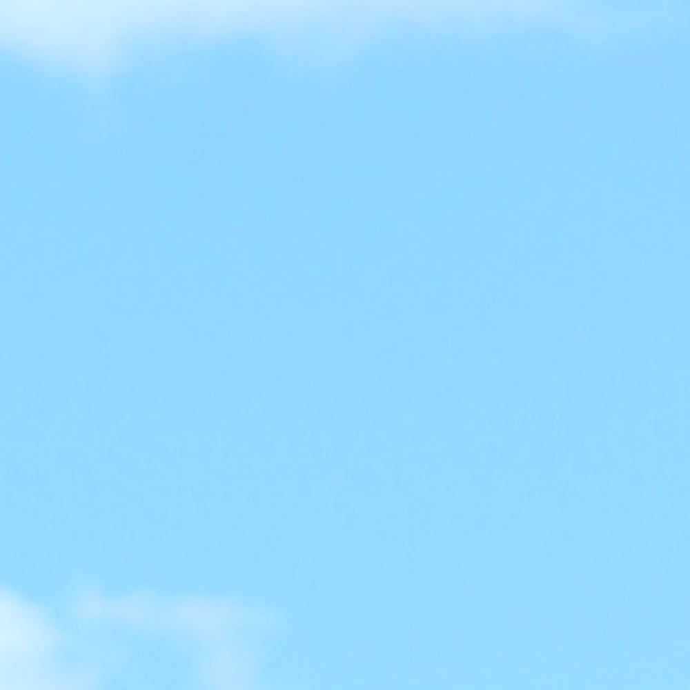 Profile thumbnail image for Jd Winslow Horse Shows
