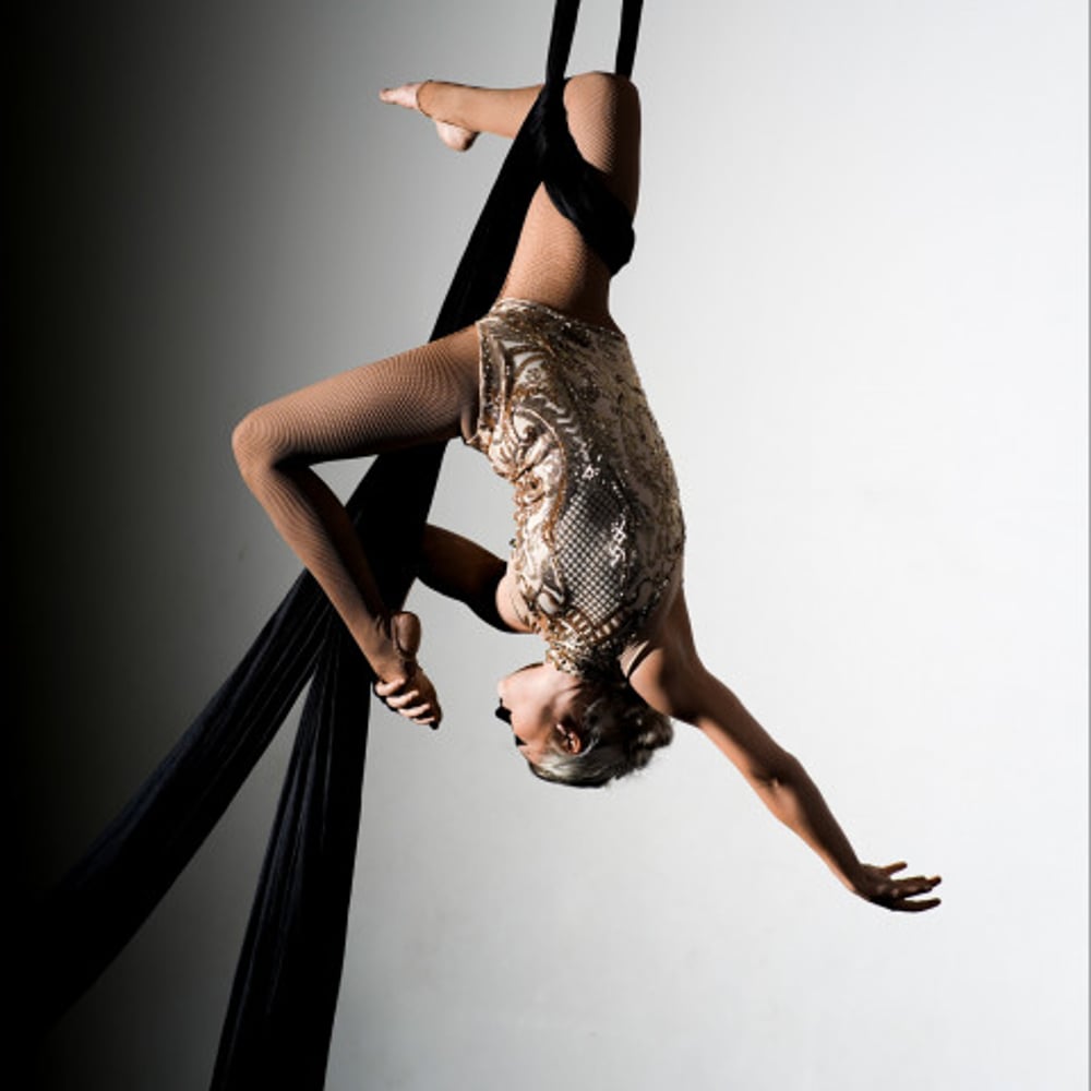 Profile thumbnail image for JDV Circus Arts