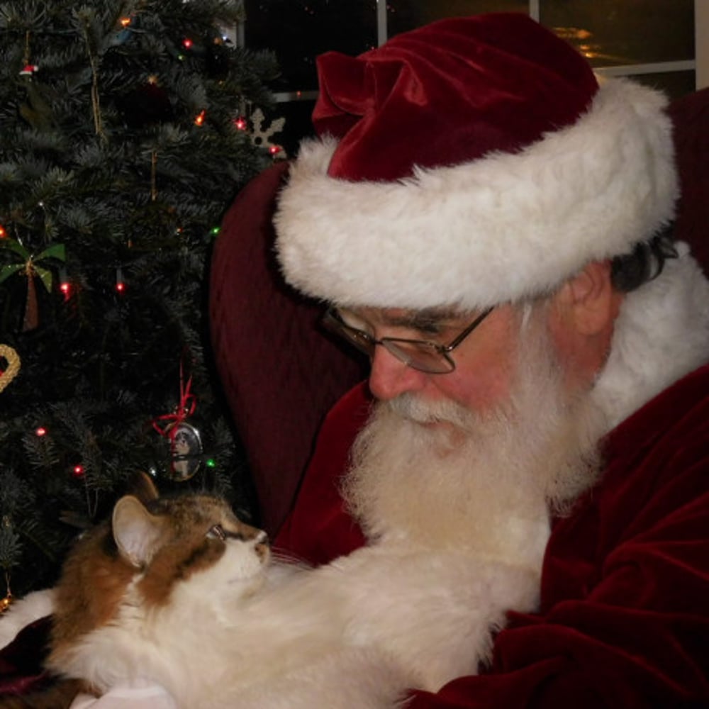 Profile thumbnail image for Jolly Santa Ted