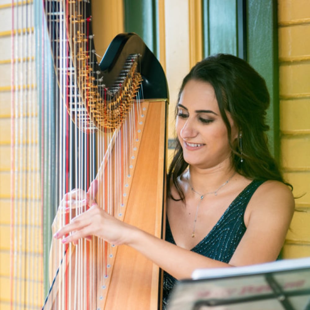 Profile thumbnail image for Julia Schorn, Harpist