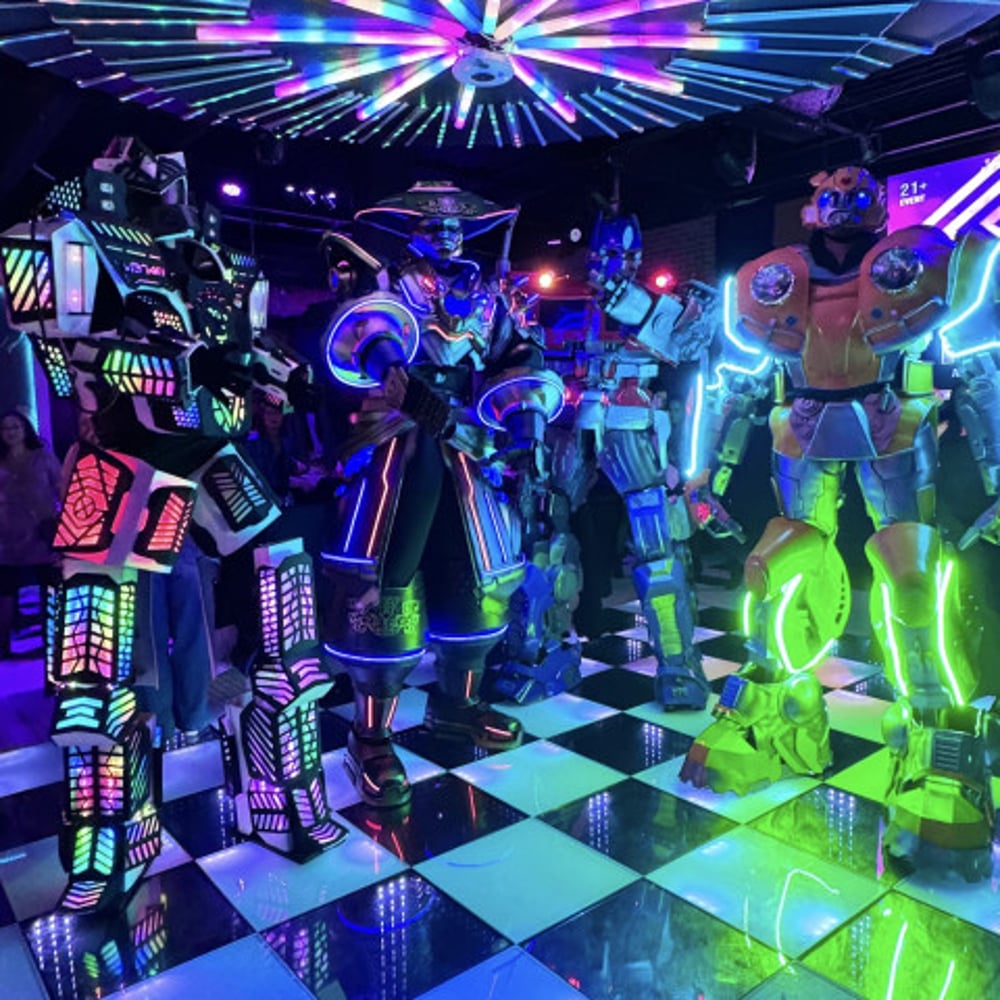 Profile thumbnail image for Led Party Robots Show