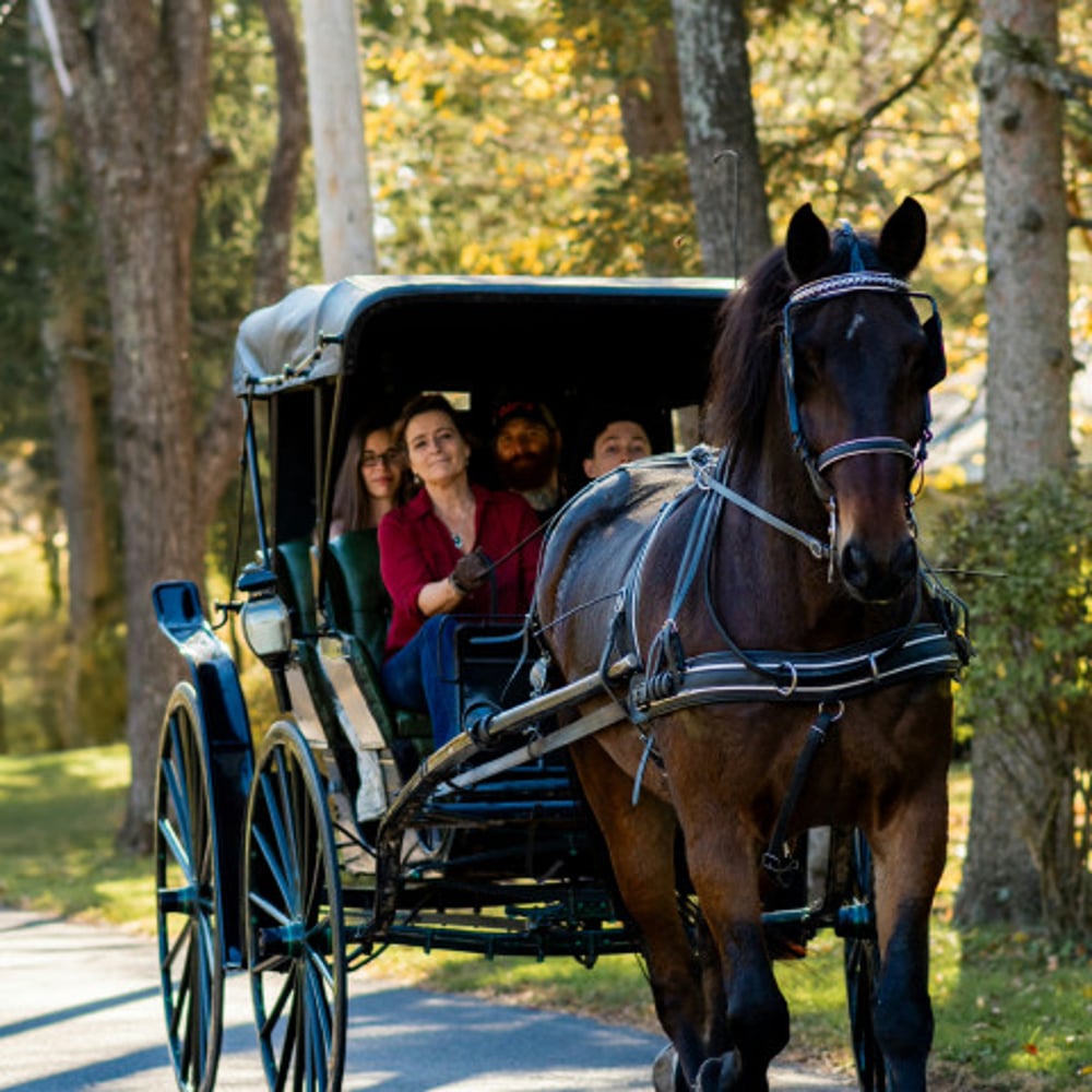 Profile thumbnail image for Lizzie's Legacy, LLC