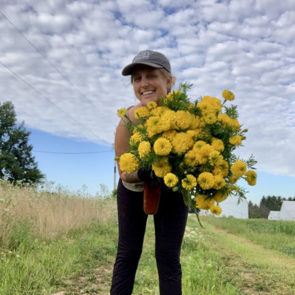 Profile thumbnail image for Loon Blooms