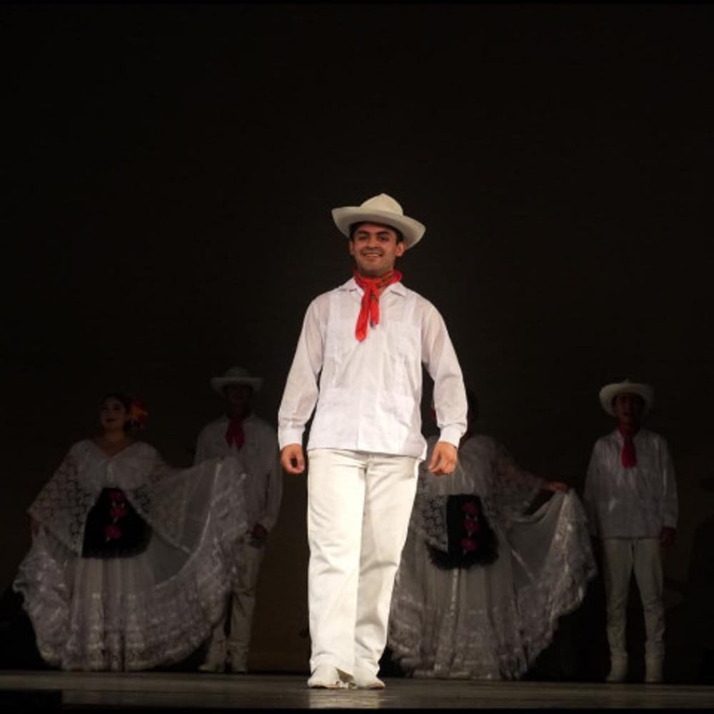 Profile thumbnail image for Los Folkloricos