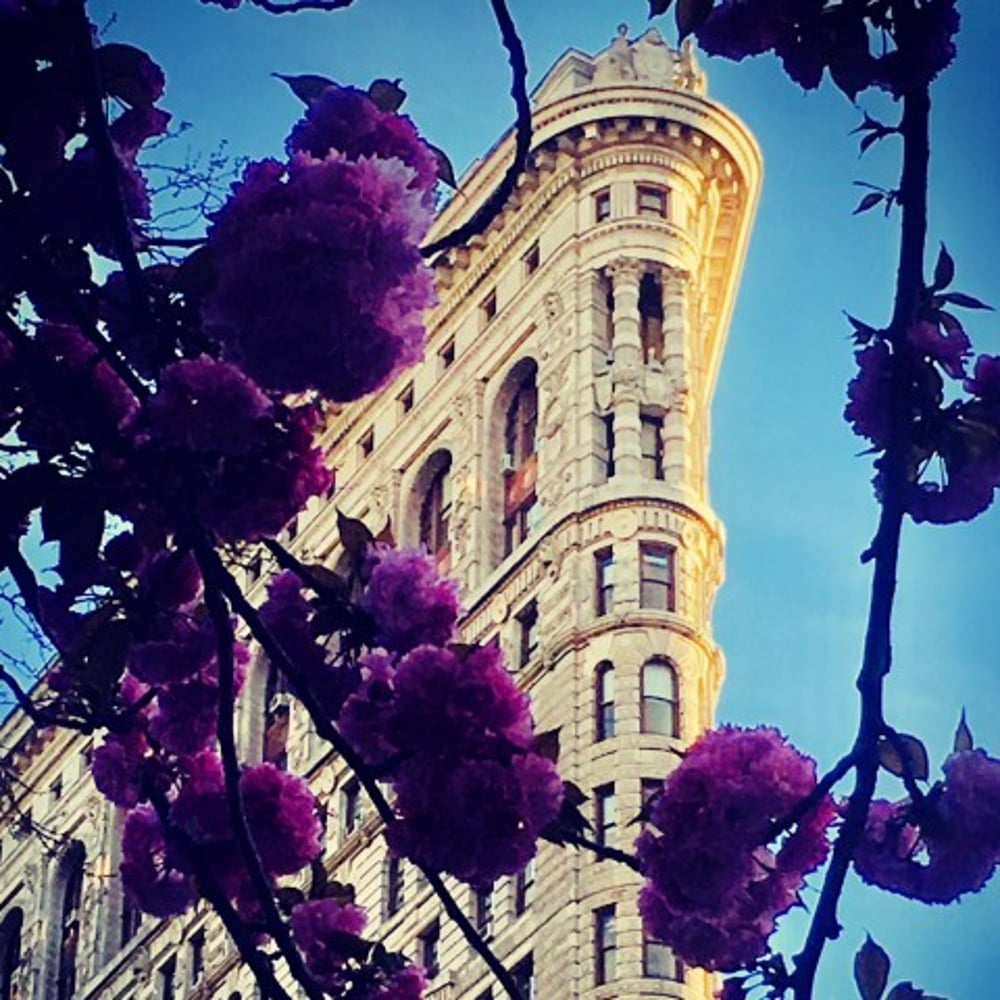 Profile thumbnail image for Maria Vullo Photography