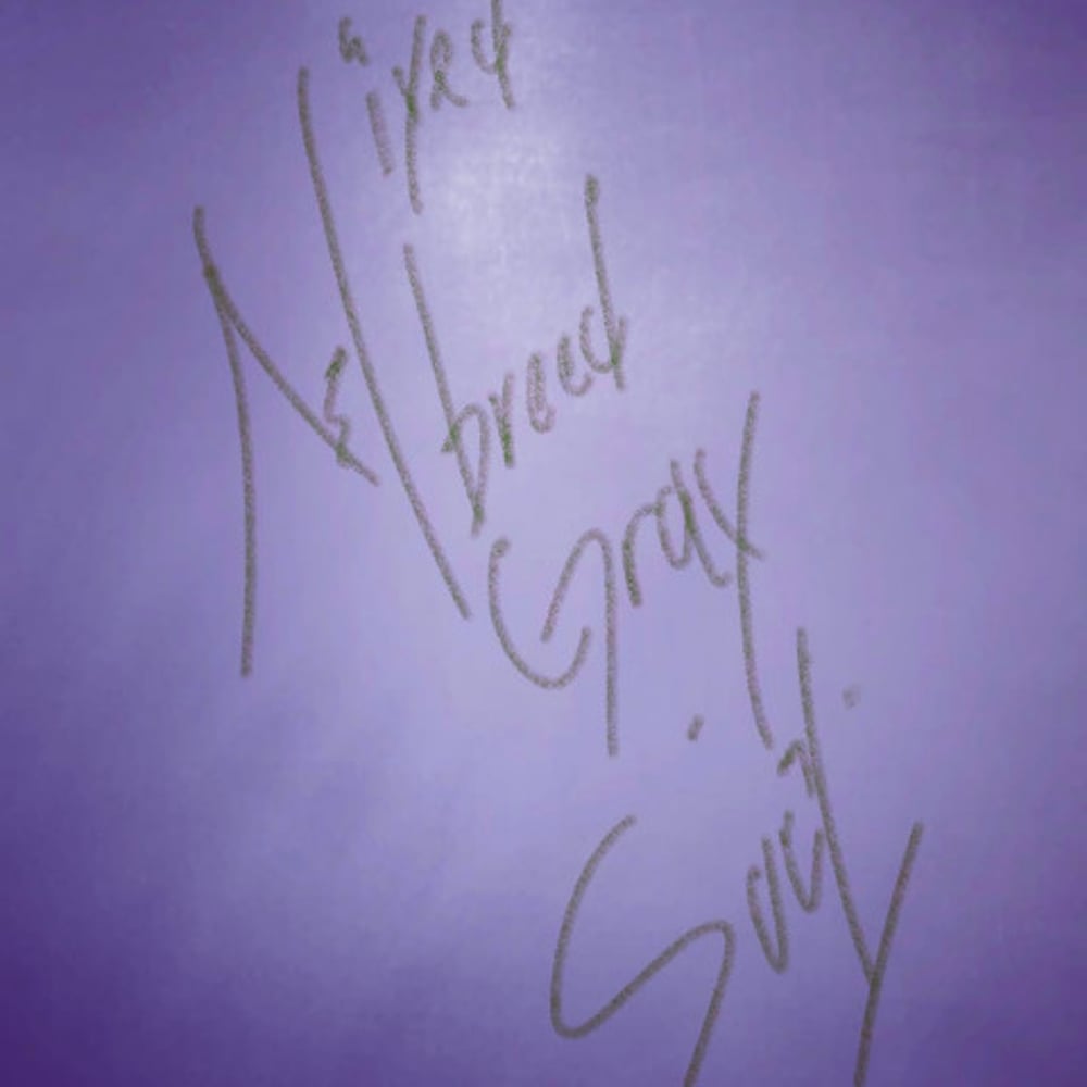Profile thumbnail image for Mixed Breed Gray-Soul