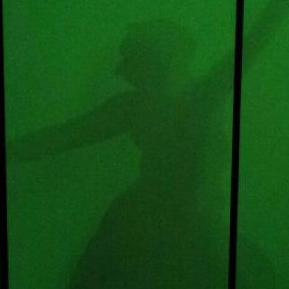 Profile thumbnail image for Monique I. Liturgical Dance Theatre