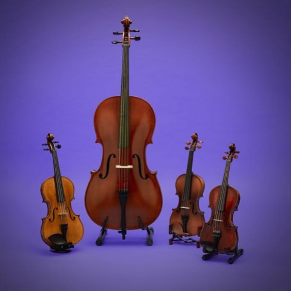 Profile thumbnail image for Opal String Quartet