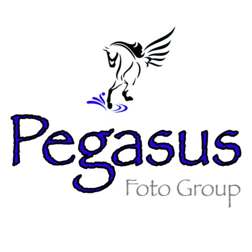 Profile thumbnail image for Pegasus Foto Group, LLC