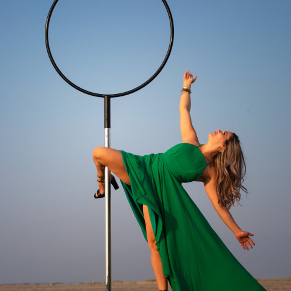Profile thumbnail image for Professional Aerialist