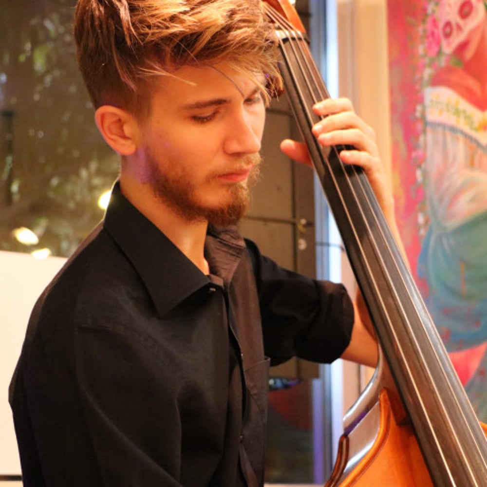 Profile thumbnail image for Professional Upright Bassist