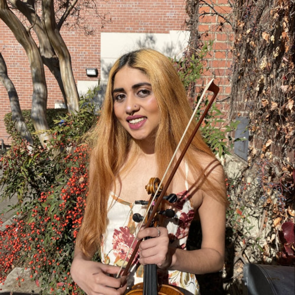 Profile thumbnail image for Professional Violinist