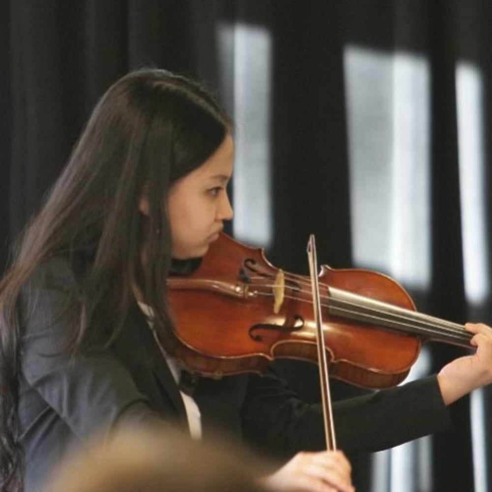 Profile thumbnail image for Salt and Light Violin duo