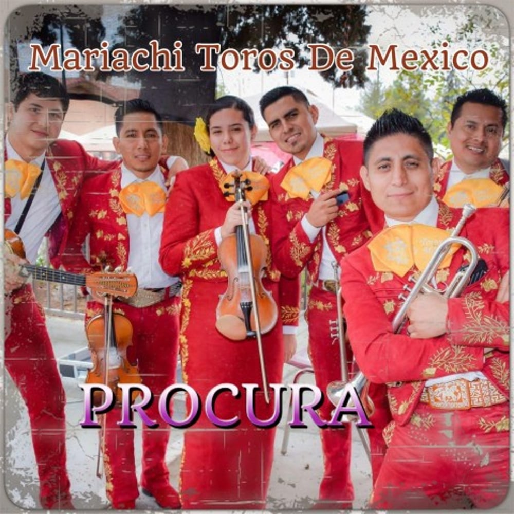 Profile thumbnail image for Mariachi Toros de Mexico de Roberto Cortes